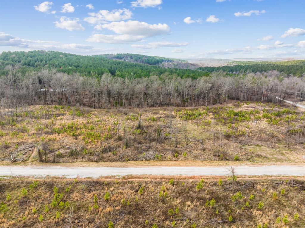 71 Woodland Ridge Trail Property Photo 1