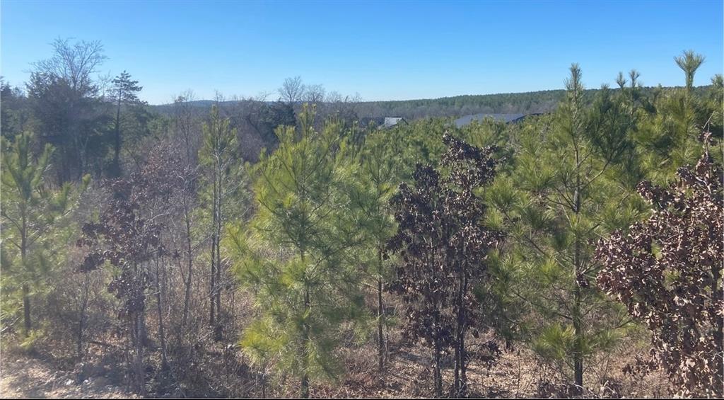 71 Southern Spruce Trail Property Photo