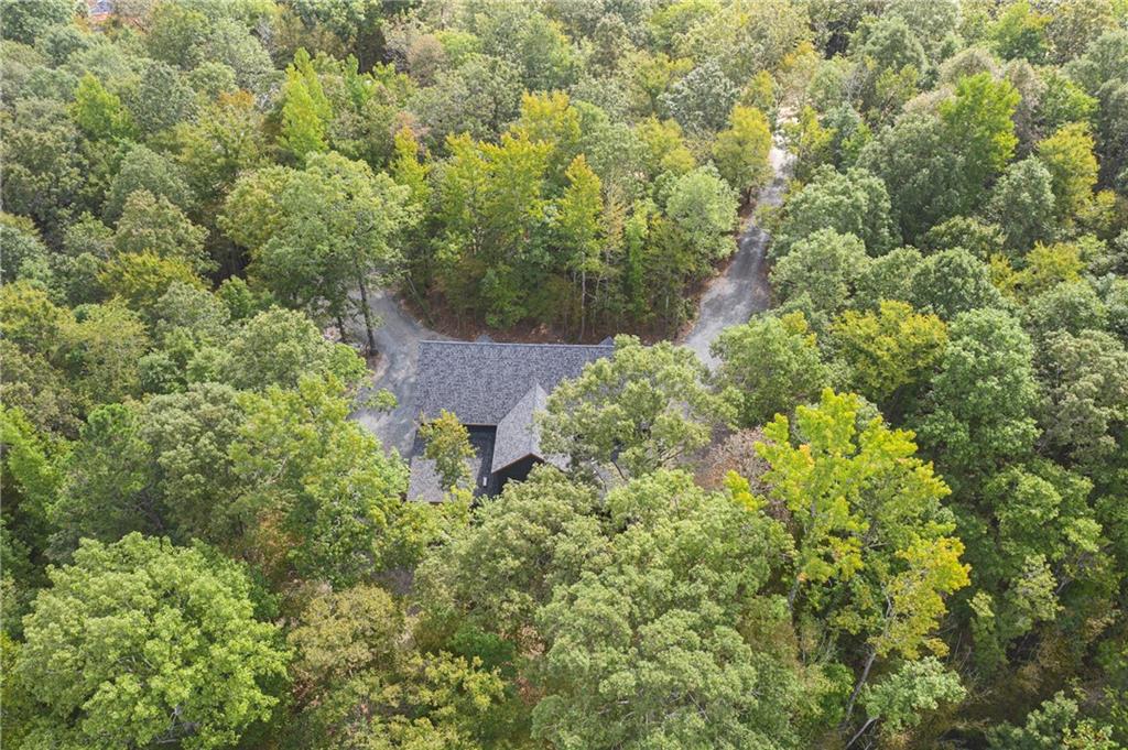 76 Pecan Trace Trail Property Photo 5