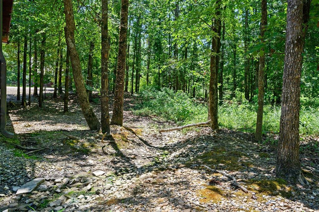 145 Guppy Lane Property Photo 33
