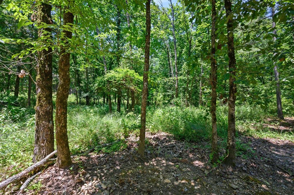 145 Guppy Lane Property Photo 34