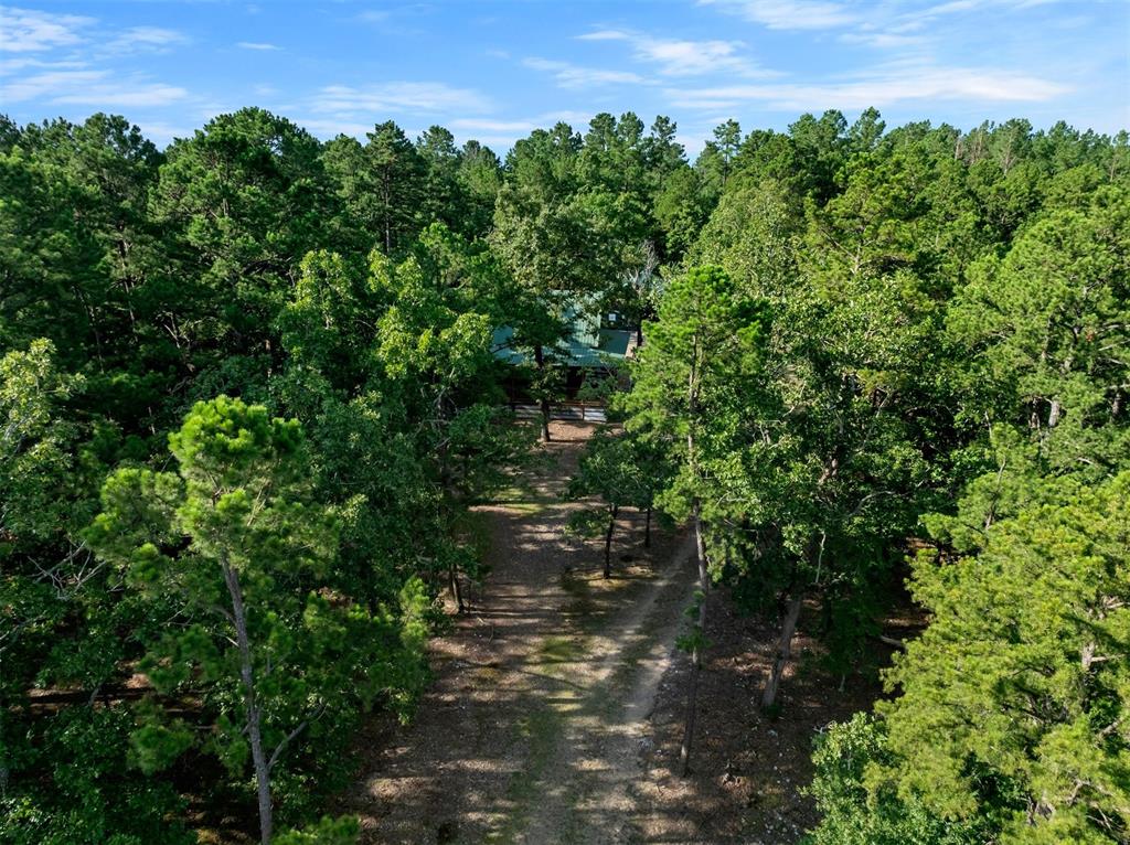 198 Mcgowen Acres Road Property Photo 4