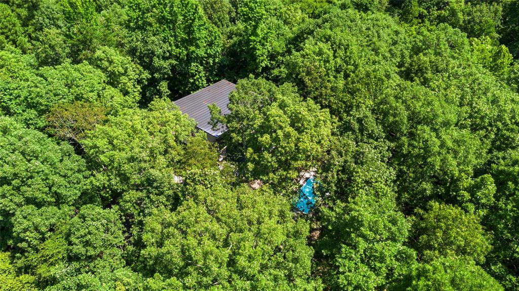 77 Pecan Trace Trail Property Photo 5