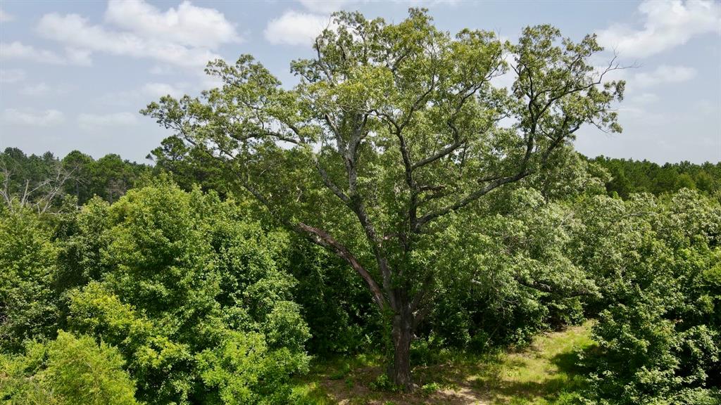 782 N 4830 Road Property Photo 33
