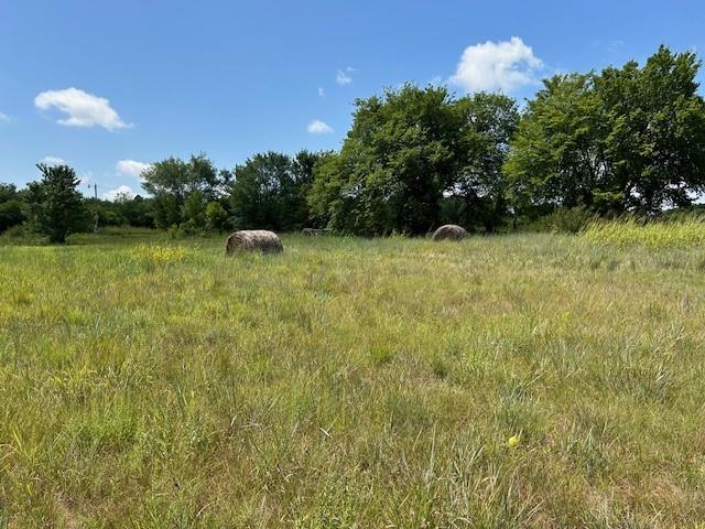 11400 Timber Trail Property Photo 23