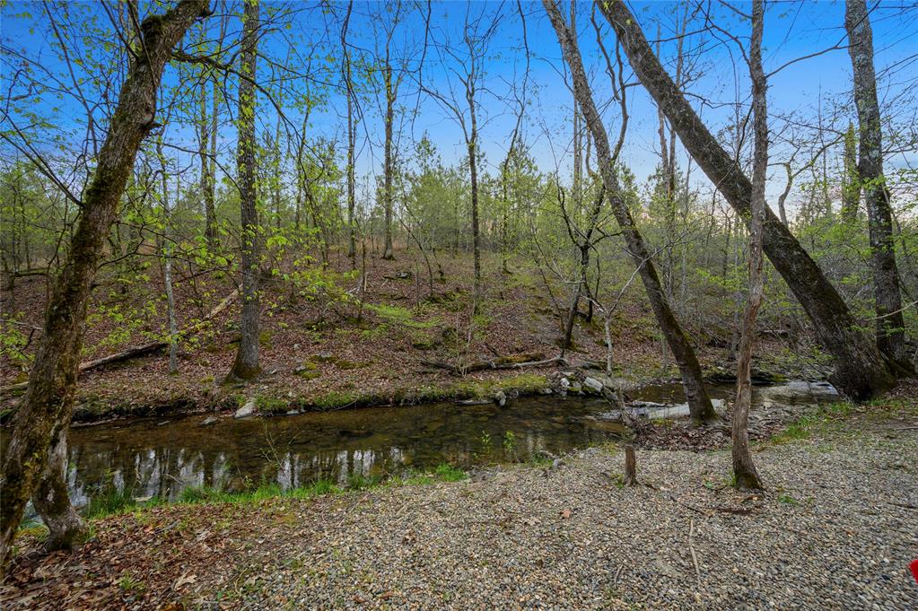 178 Black Jack Trail Property Photo 50