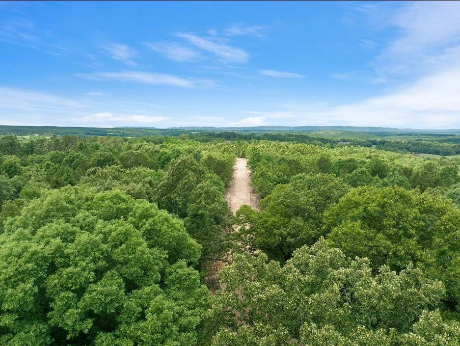 Hwy 4 Highway 17 Property Photo