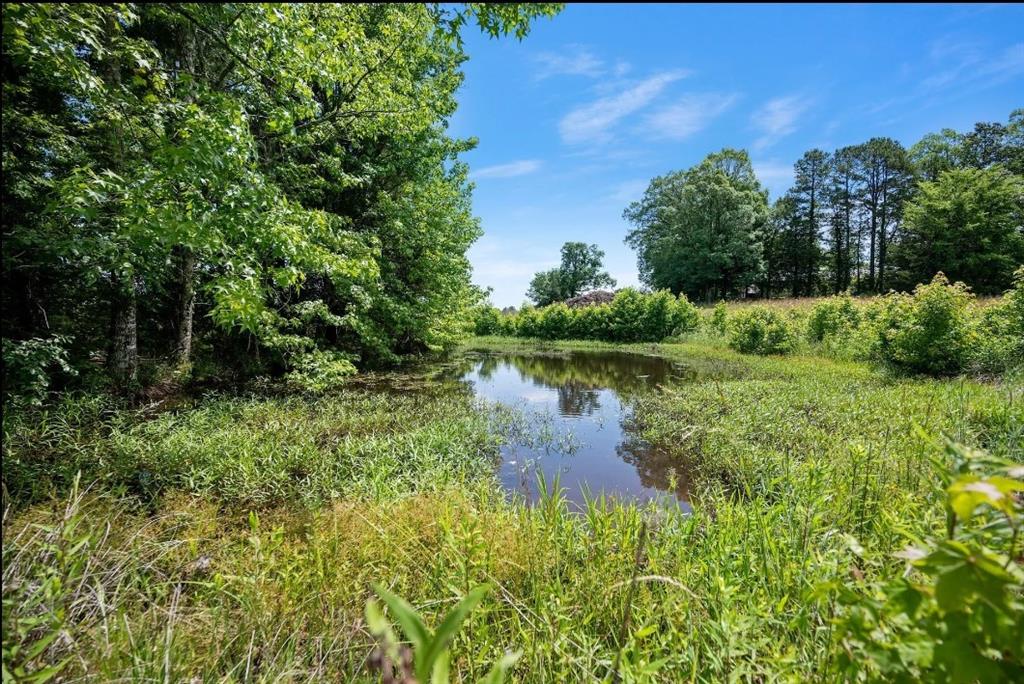 Hwy 4 Highway 43 Property Photo