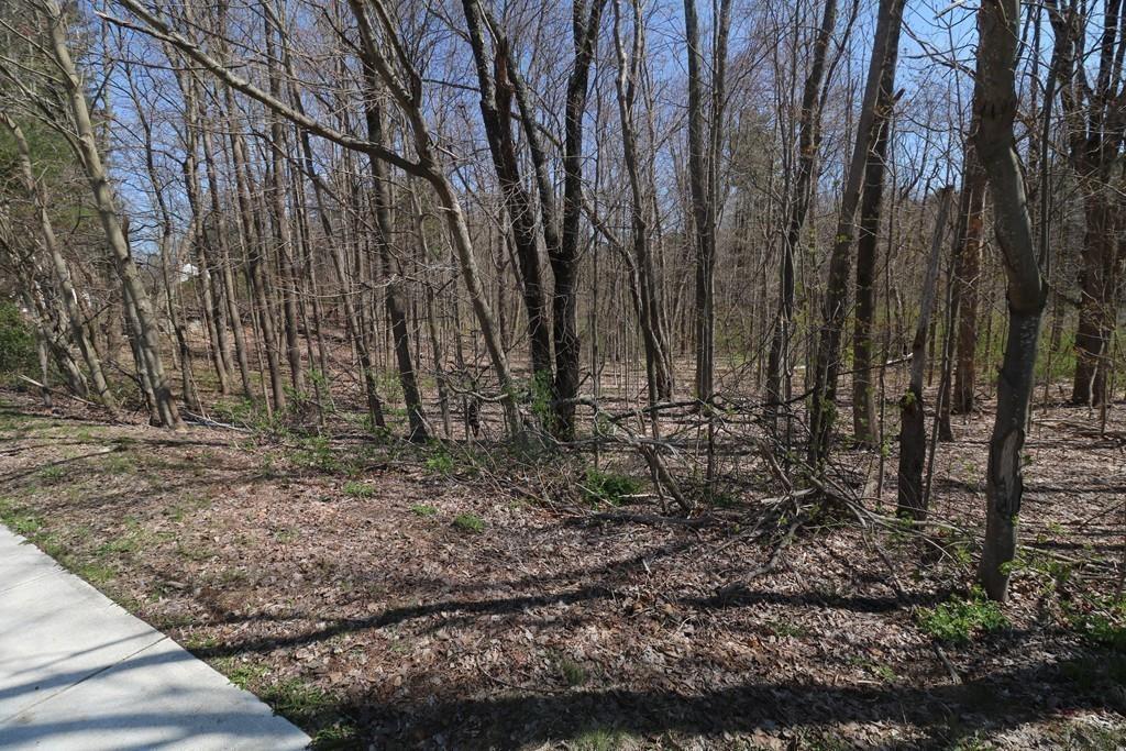 0 West Main Street Property Photo 15