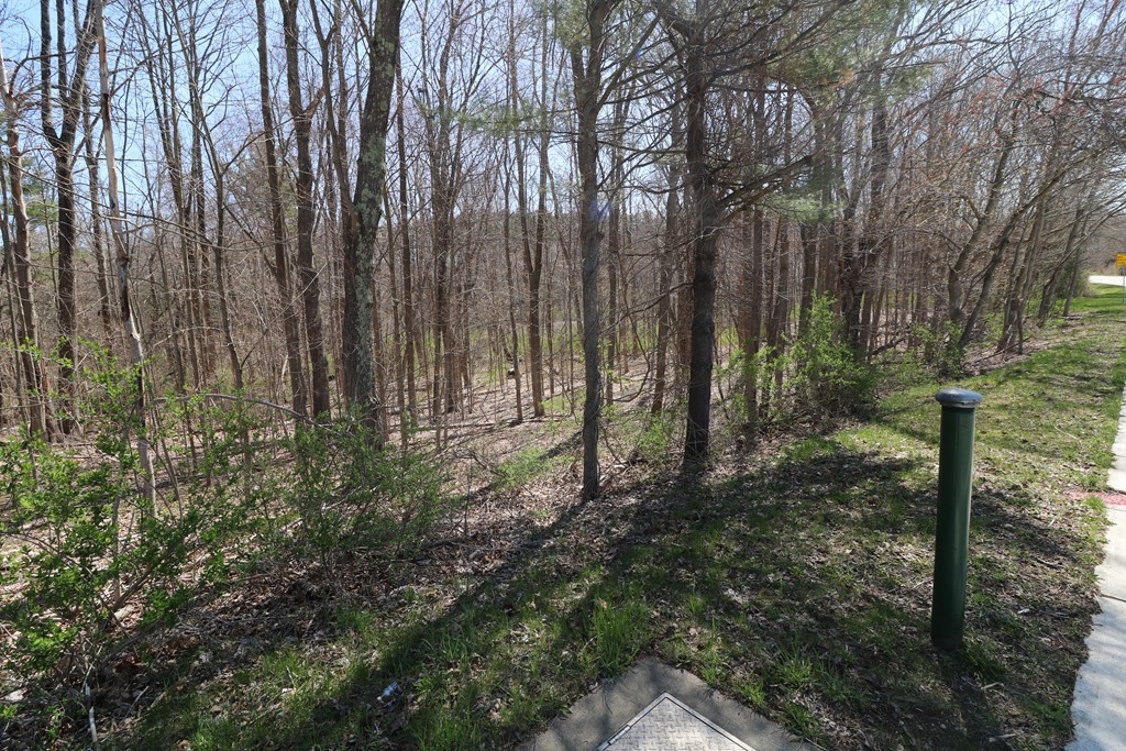 0 West Main Street Property Photo 1