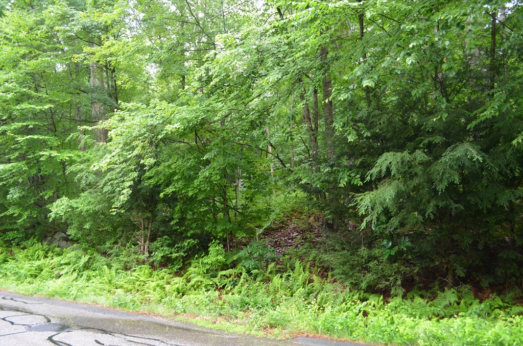 Lot 7 Monson Turnpike Rd Property Photo 3