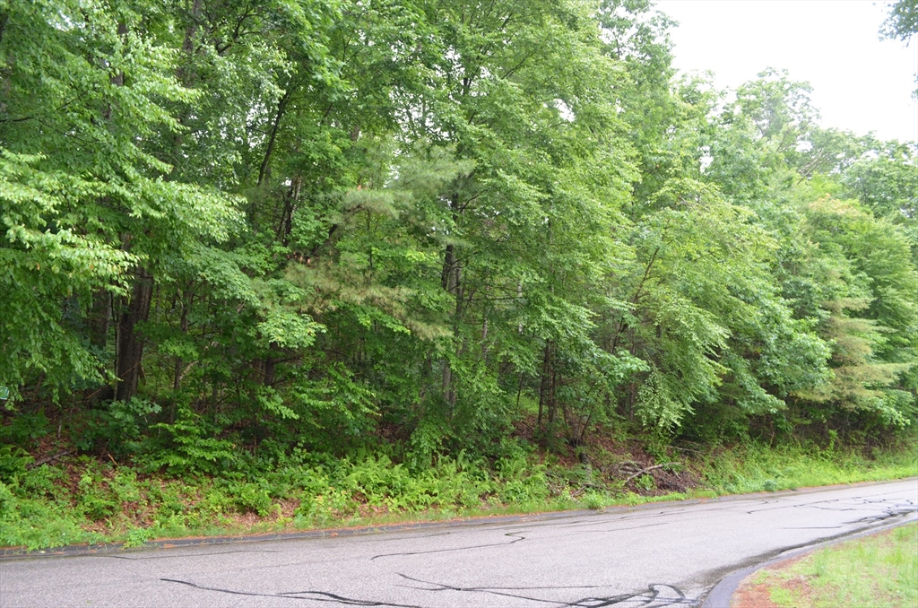 Lot 7 Monson Turnpike Rd Property Photo 4