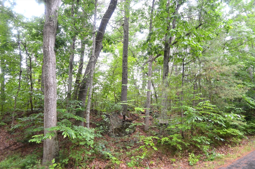 32 Coffey Hill Rd Property Photo 1