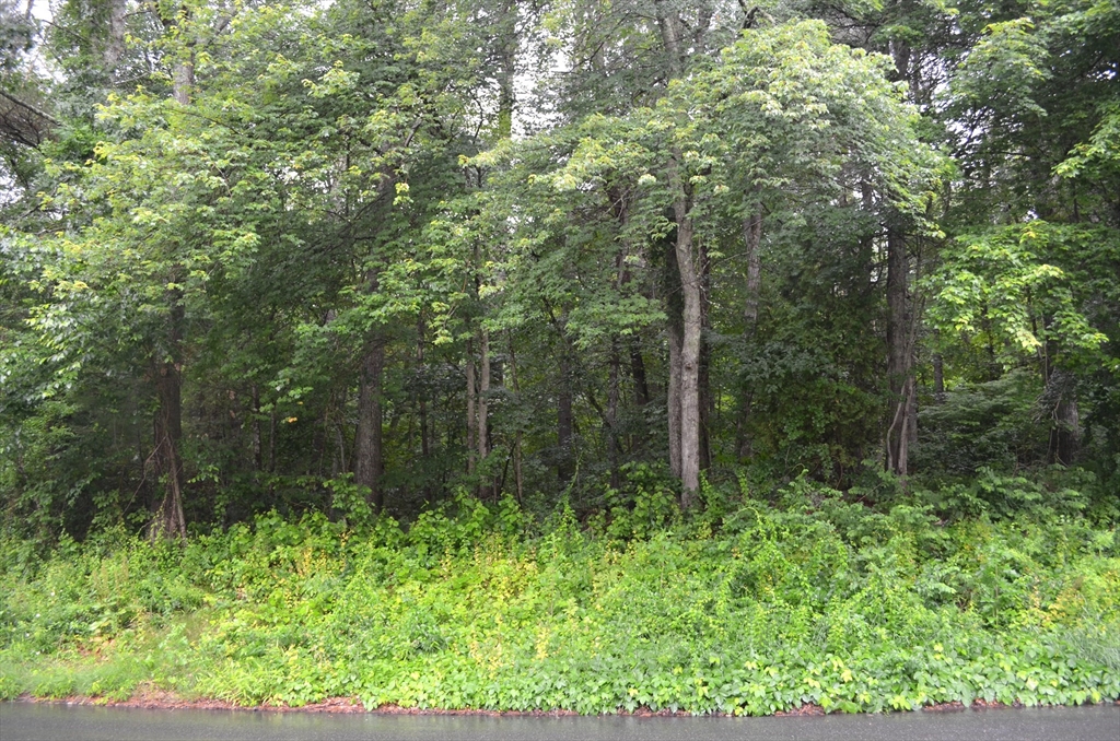32 Coffey Hill Rd Property Photo 2