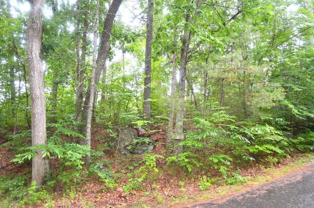 32 Coffey Hill Rd Property Photo 3
