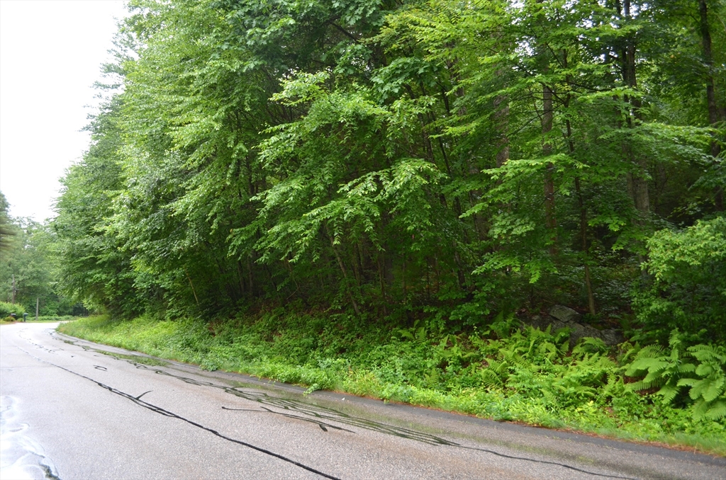 Lot 3 Monson Turnpike Rd Property Photo 1