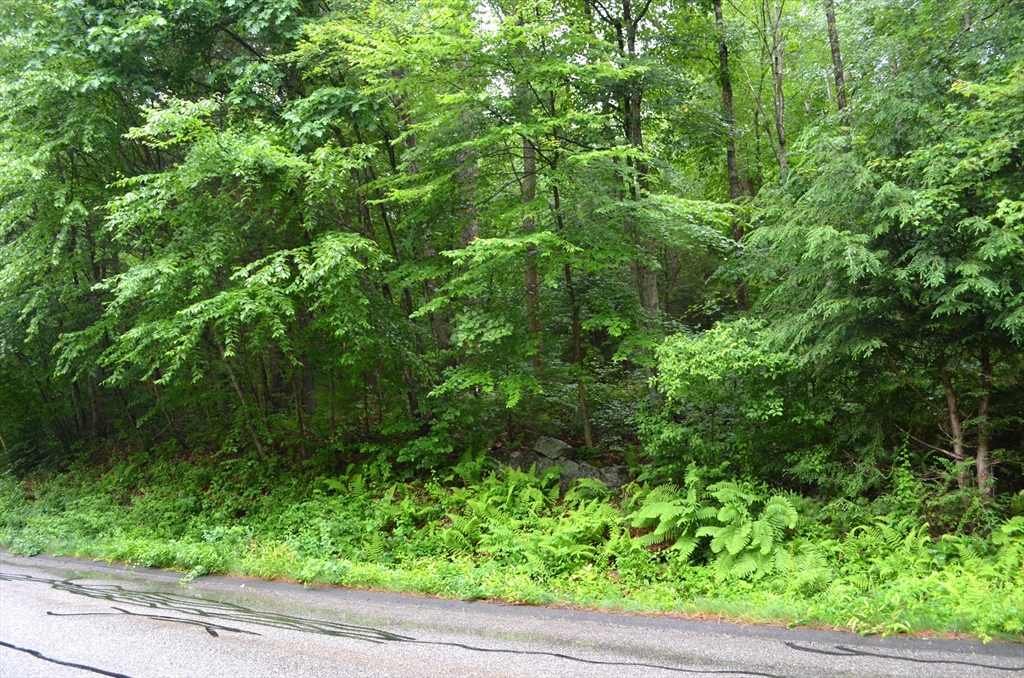 Lot 3 Monson Turnpike Rd Property Photo 2