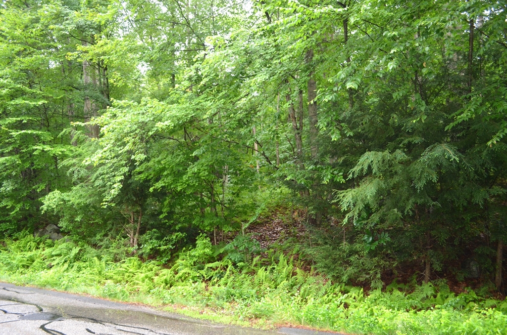 Lot 3 Monson Turnpike Rd Property Photo 3