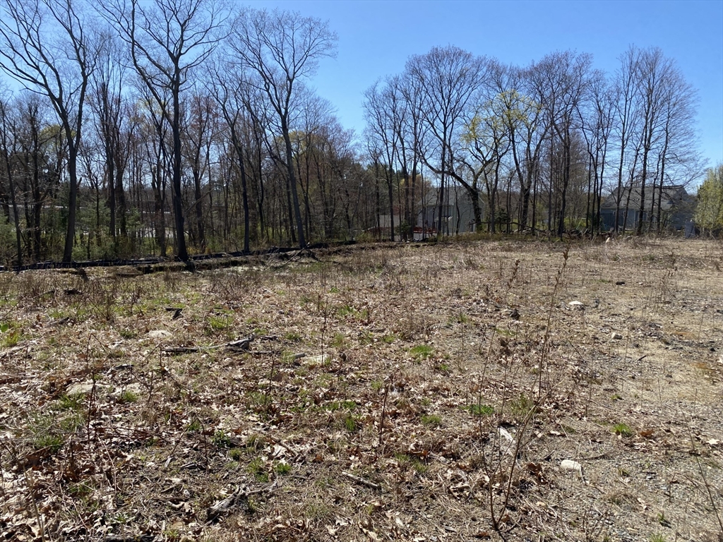 1325 Main Property Photo 2