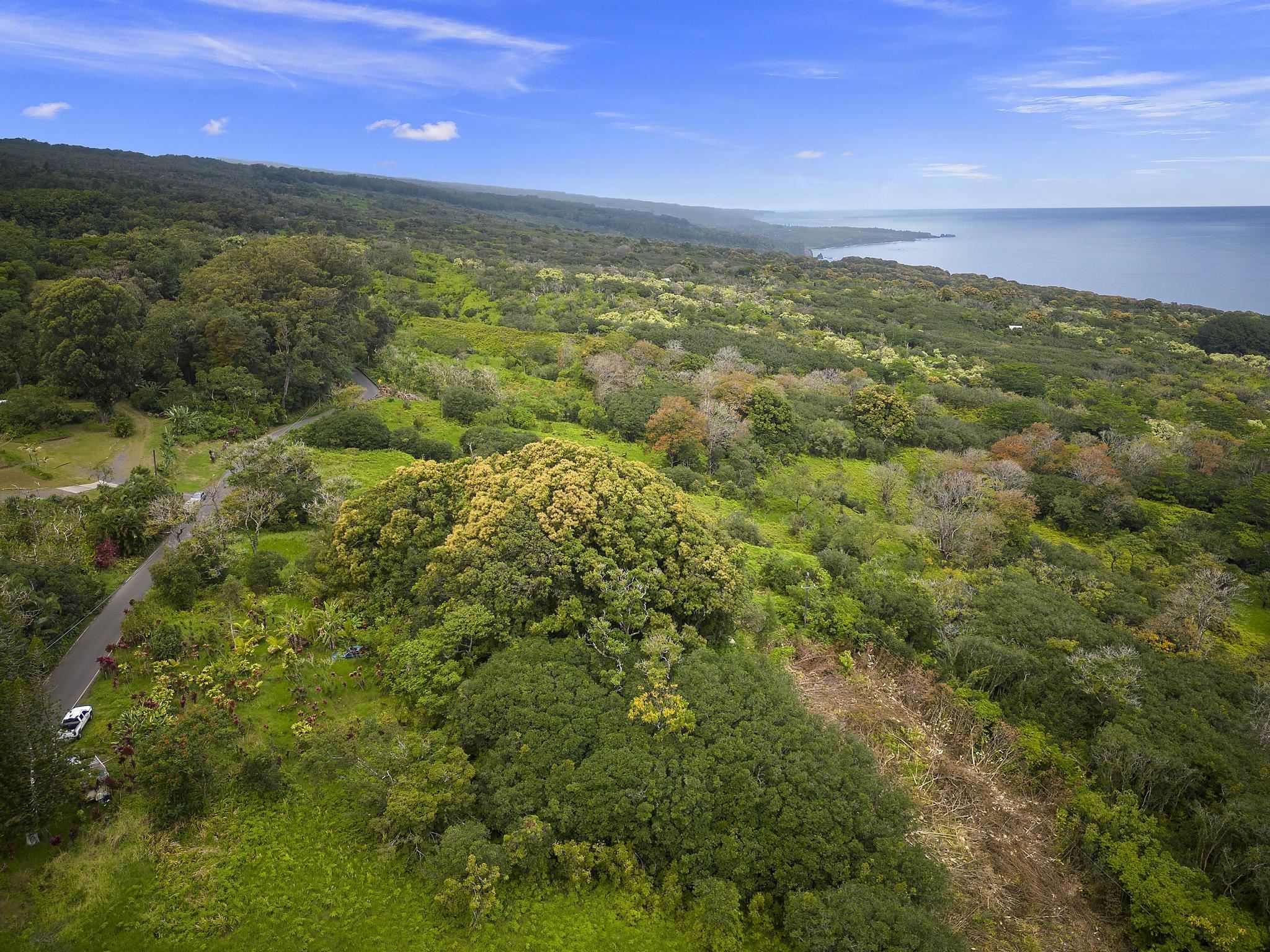 Lot 20 Hana Hwy Property Photo