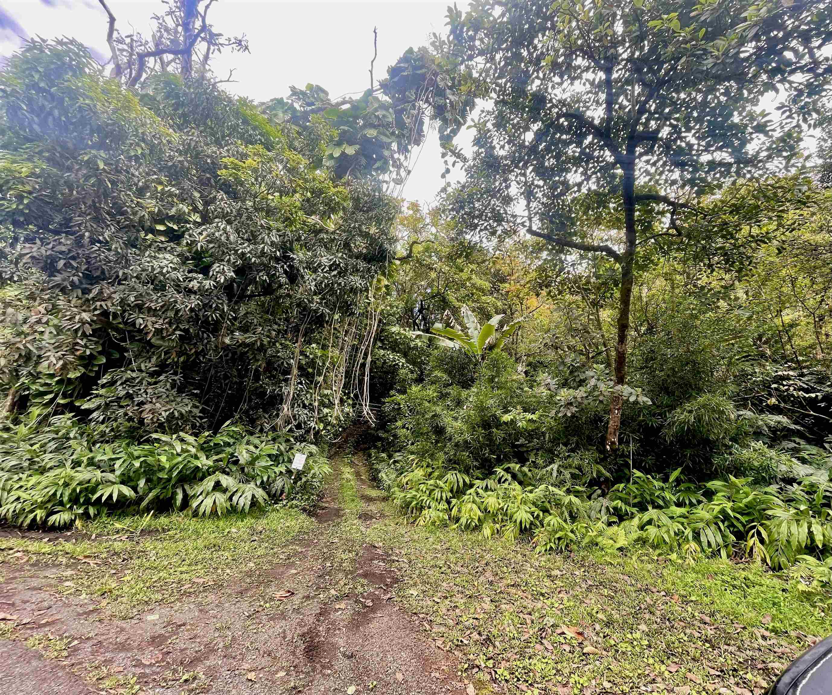 105 Acres Hana Hwy, Hana, HI 96713 | MLS#: 401890 | Hana Real Estate