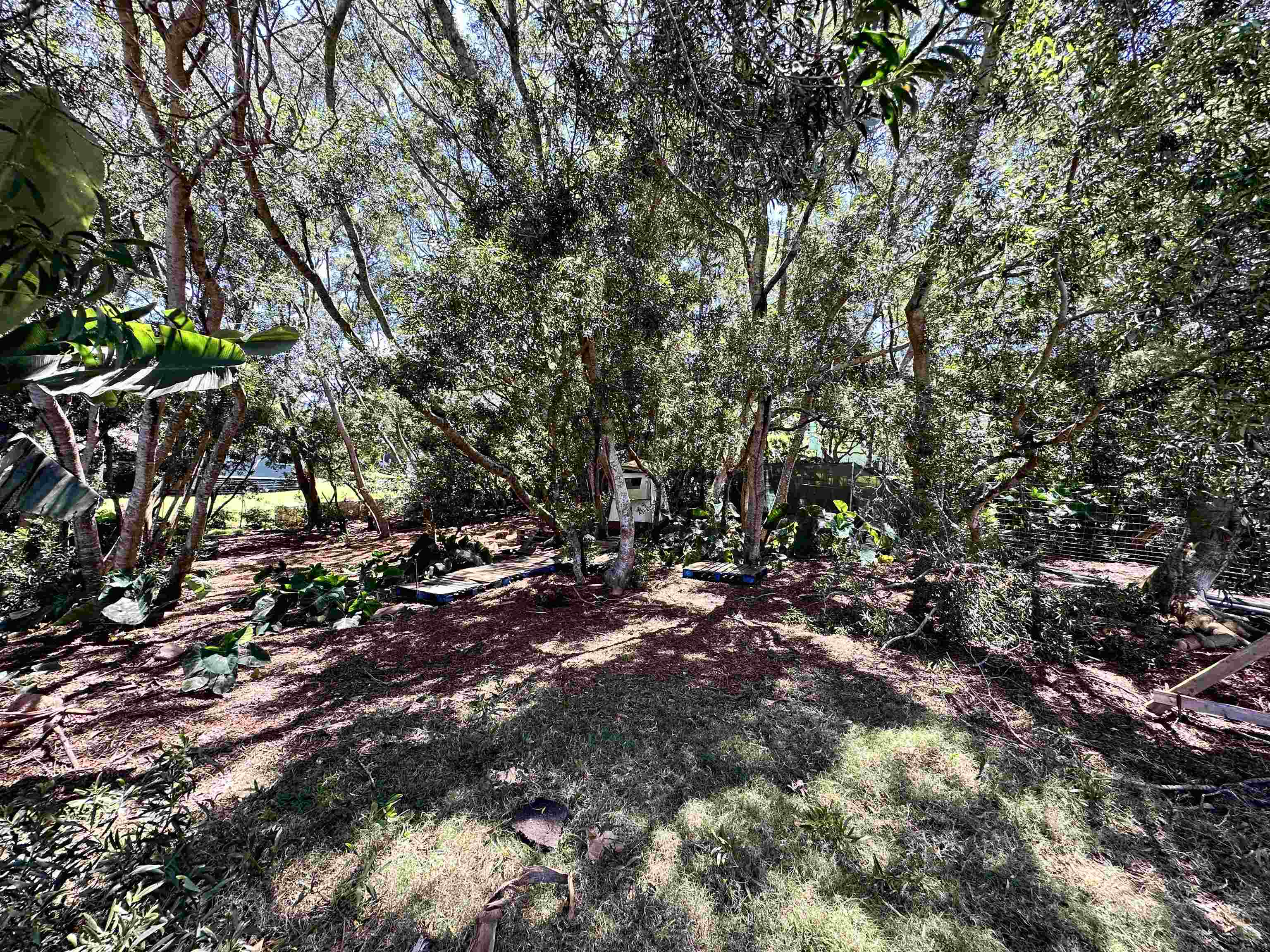36 Koala Way Property Photo 1