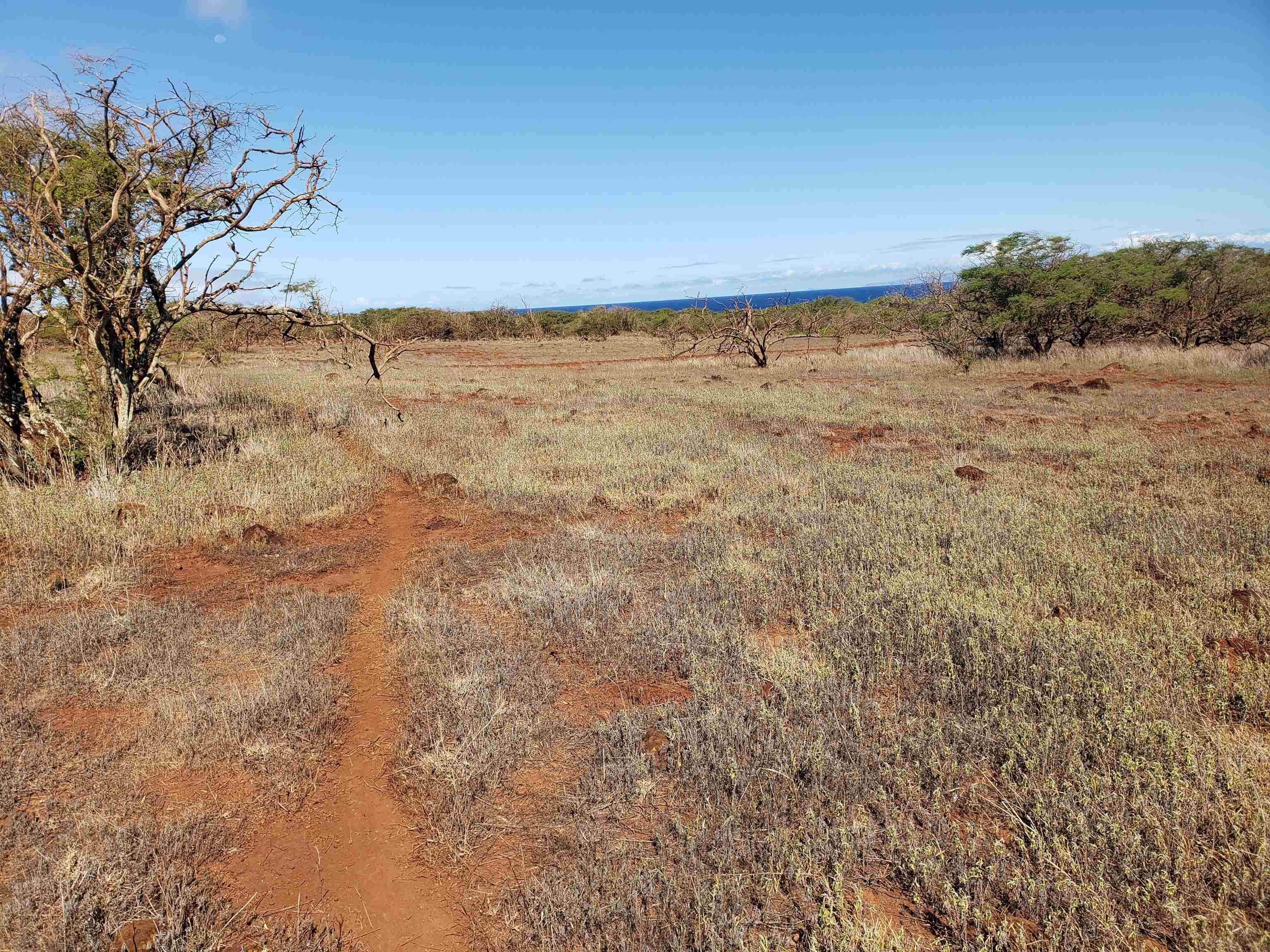 4131 Pohakuloa Rd Property Photo 2
