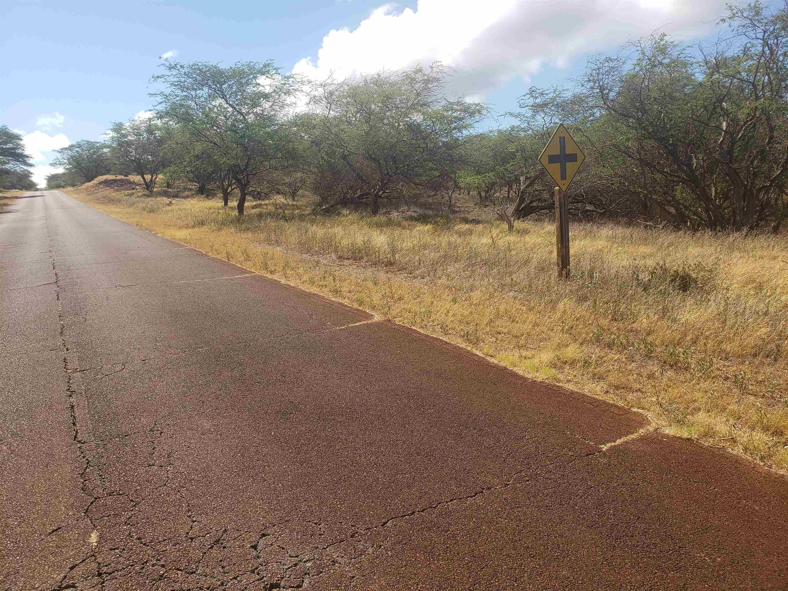 4131 Pohakuloa Rd Property Photo 5