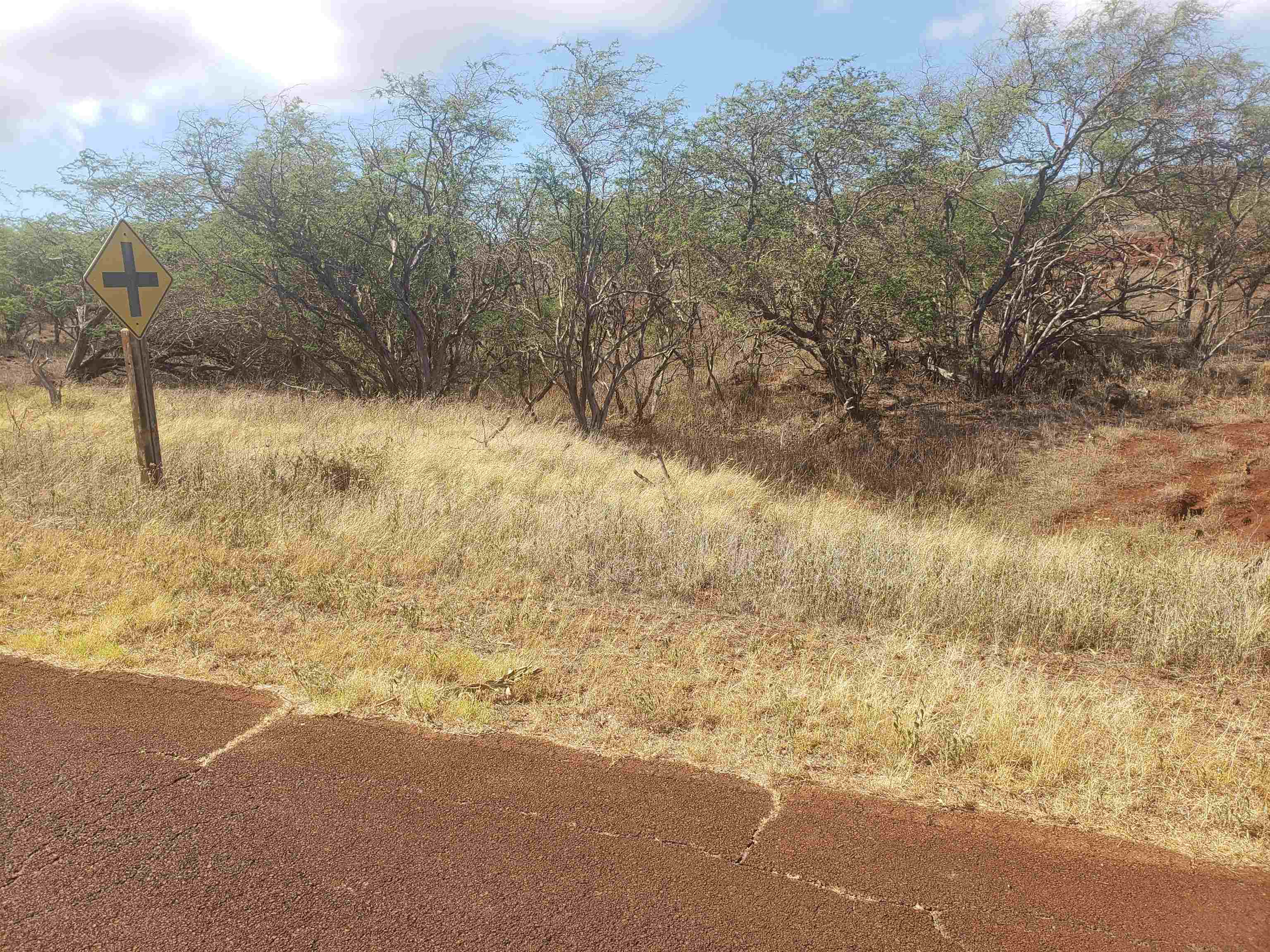4131 Pohakuloa Rd Property Photo 6