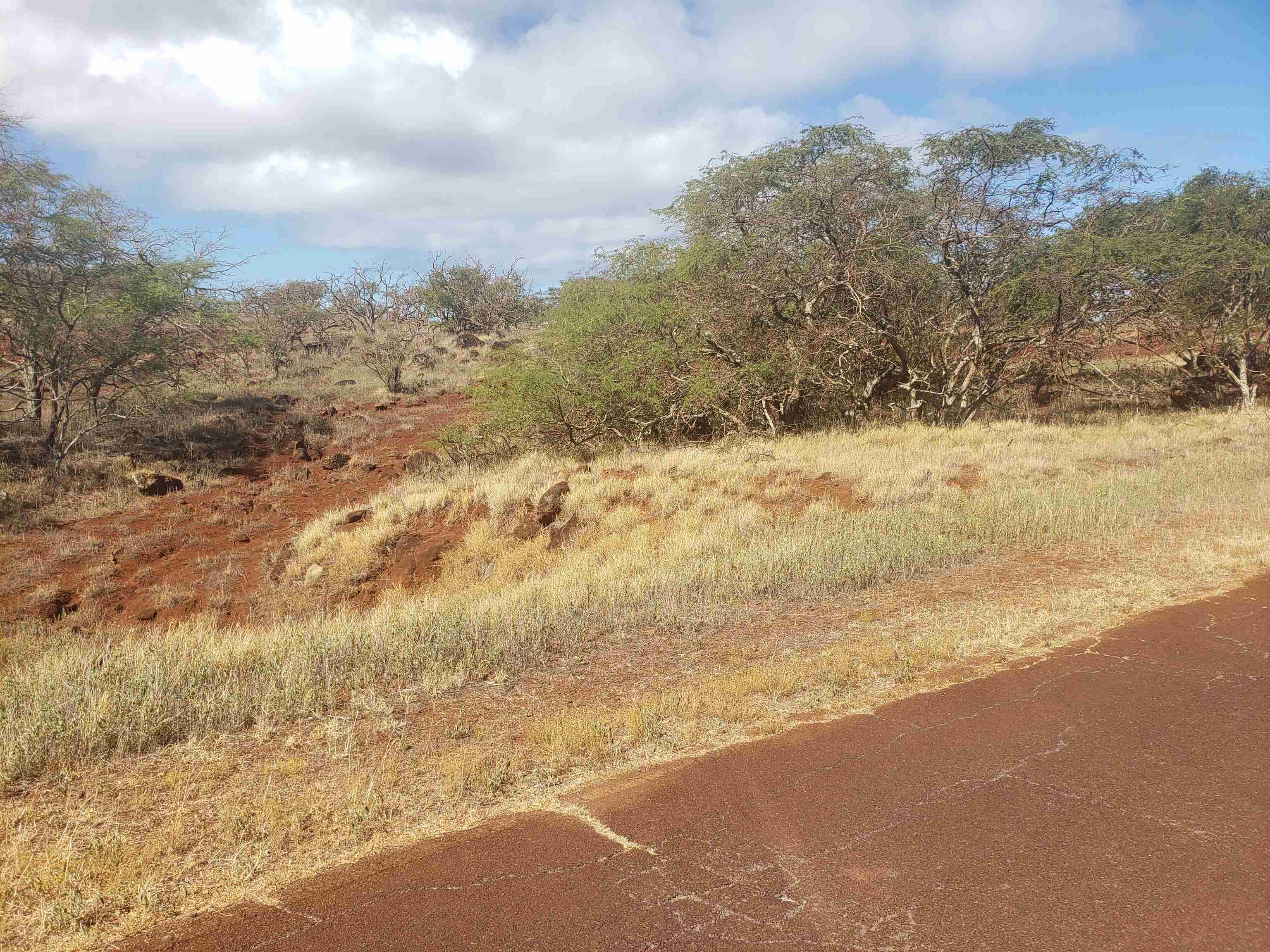 4131 Pohakuloa Rd Property Photo 7