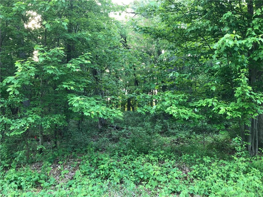 Lot 23 124th St Property Photo 1