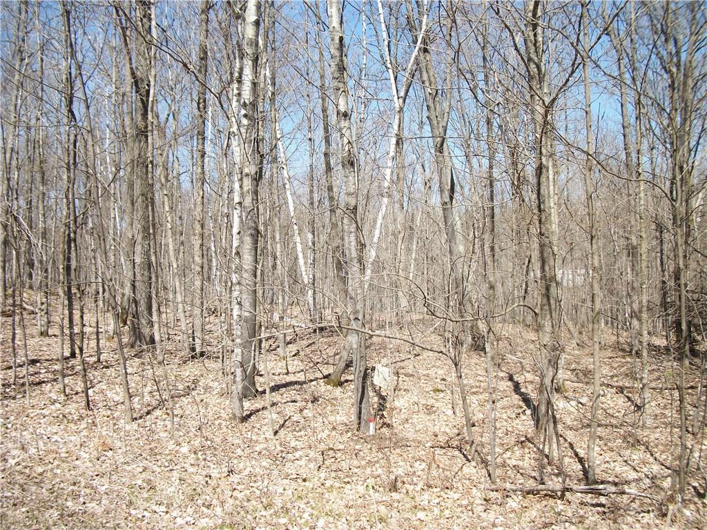 Lot#99 And 100 Woods (spruce) Avenue Property Photo