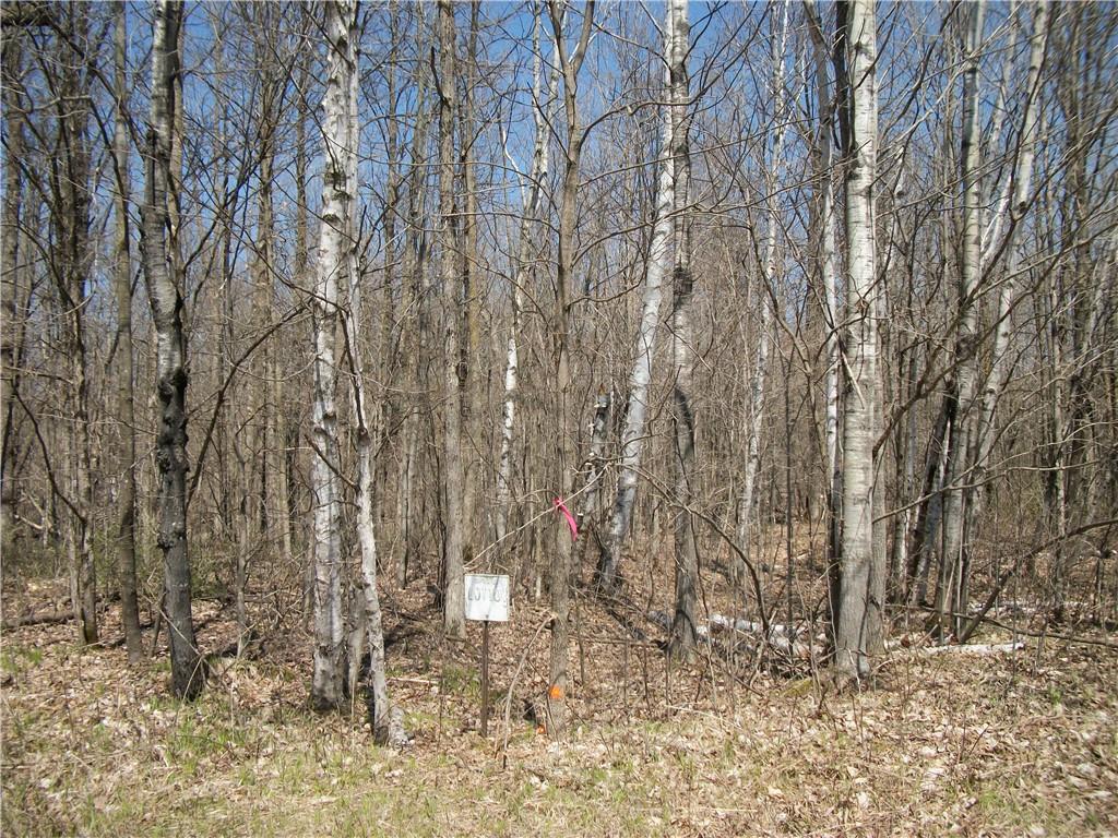 Lot #101 Woods (spruce) Avenue Property Photo 1