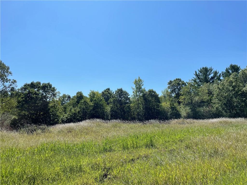 Lot 24 113th Street Property Photo 1