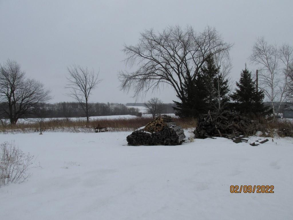1561379 Property Photo 1