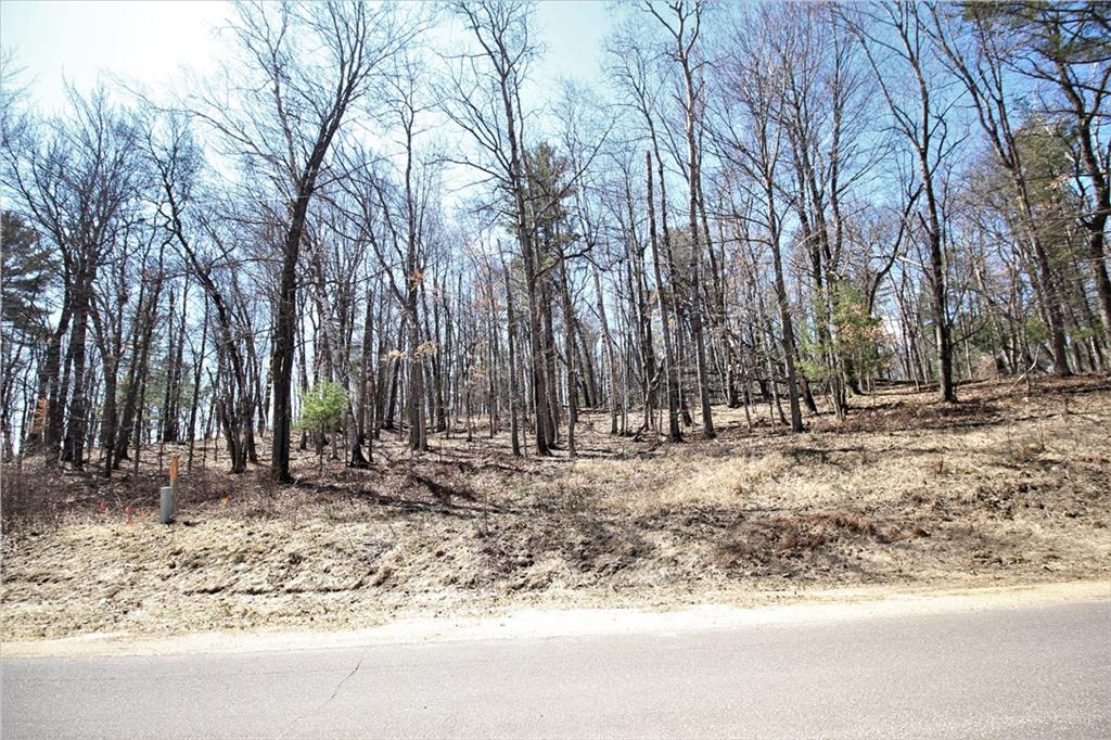 Lot 1 Cty Hwy U Property Photo 1