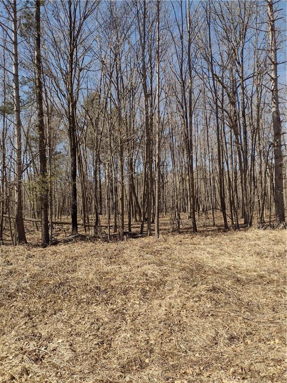Lot 0 115th Avenue Property Photo 1