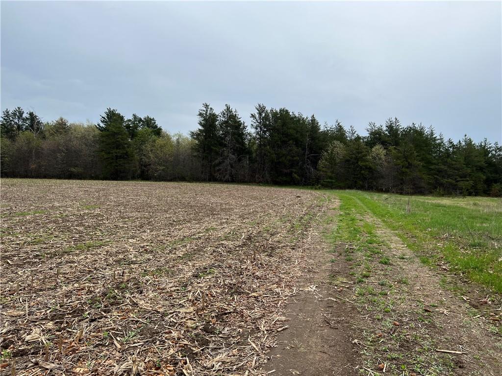 Lot 1 Wissota Acres Property Photo 1