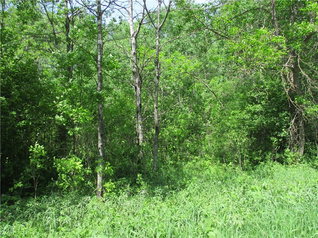 Lot #17, Block 25 Eden Avenue Property Photo