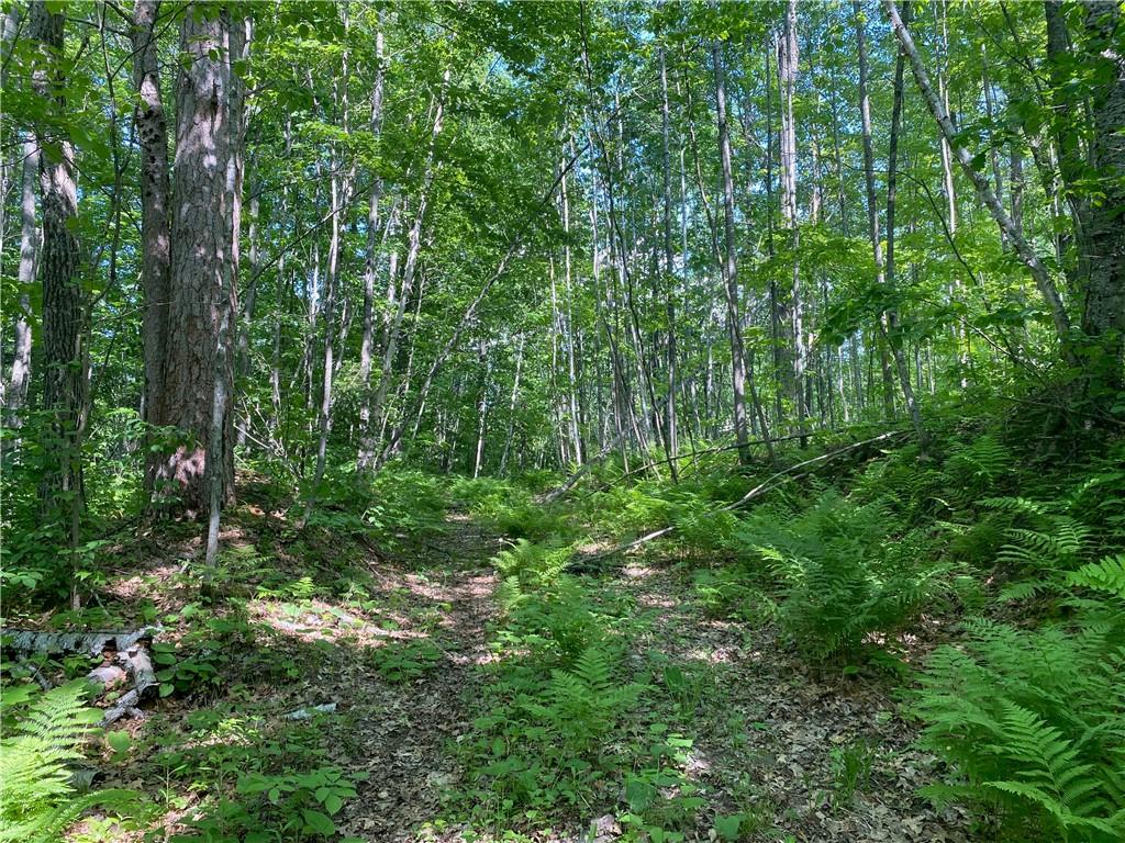 Lot 7 Secluded Trail Property Photo