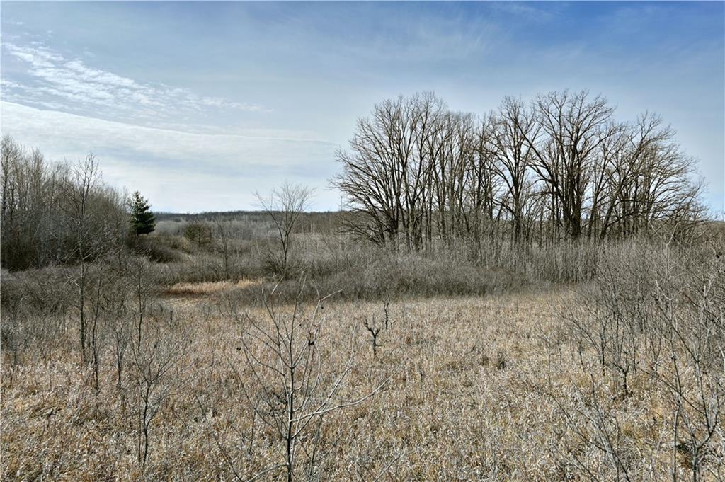 Lot 9 Wildcat Road Property Photo