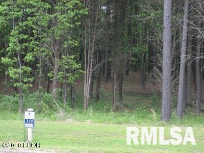Lot 358 Parrish Ridge Lane Property Photo