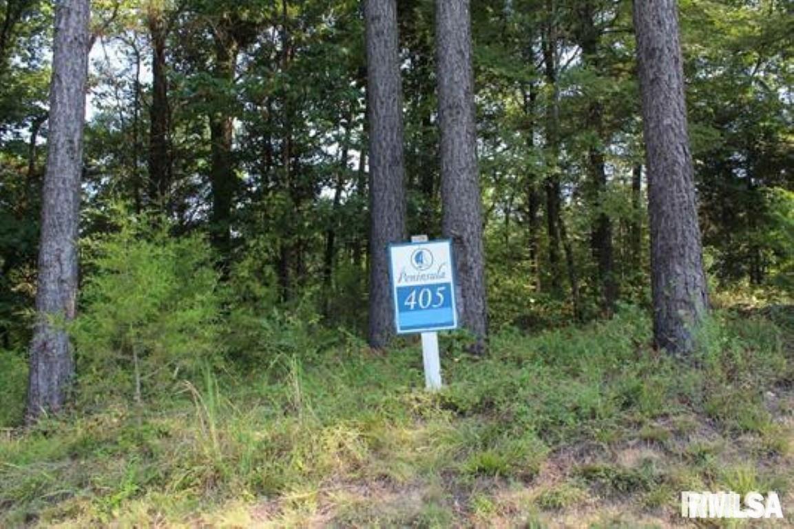 Lot 405 Parrish Ridge Road Property Photo