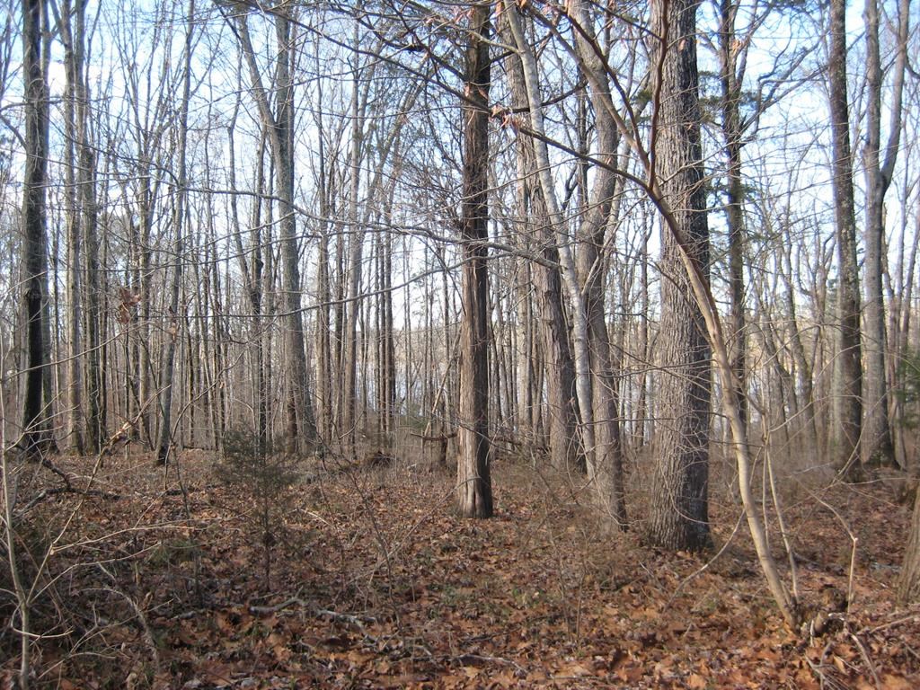 15-15br Palomino Road Property Photo 3