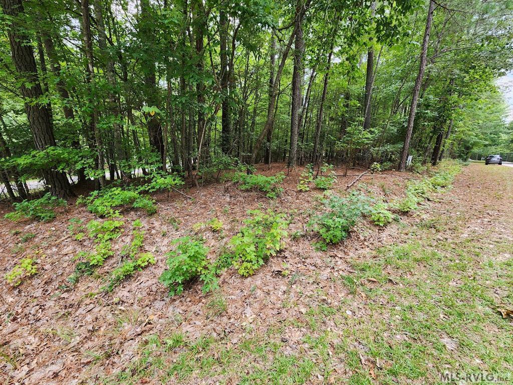 0 Hunters Creek Road Property Photo