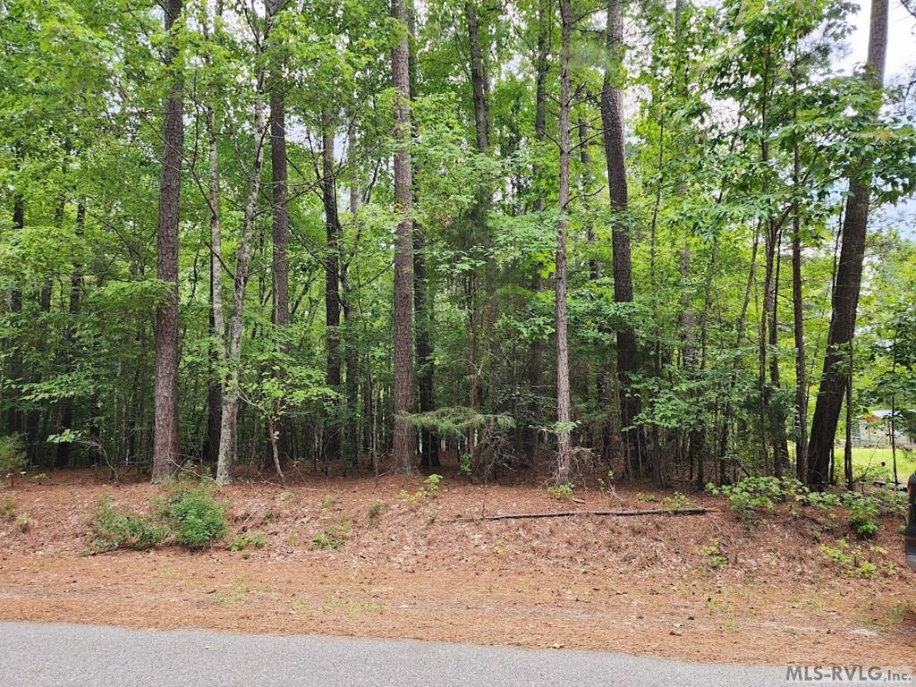 0 Hunters Creek Road Property Photo 3