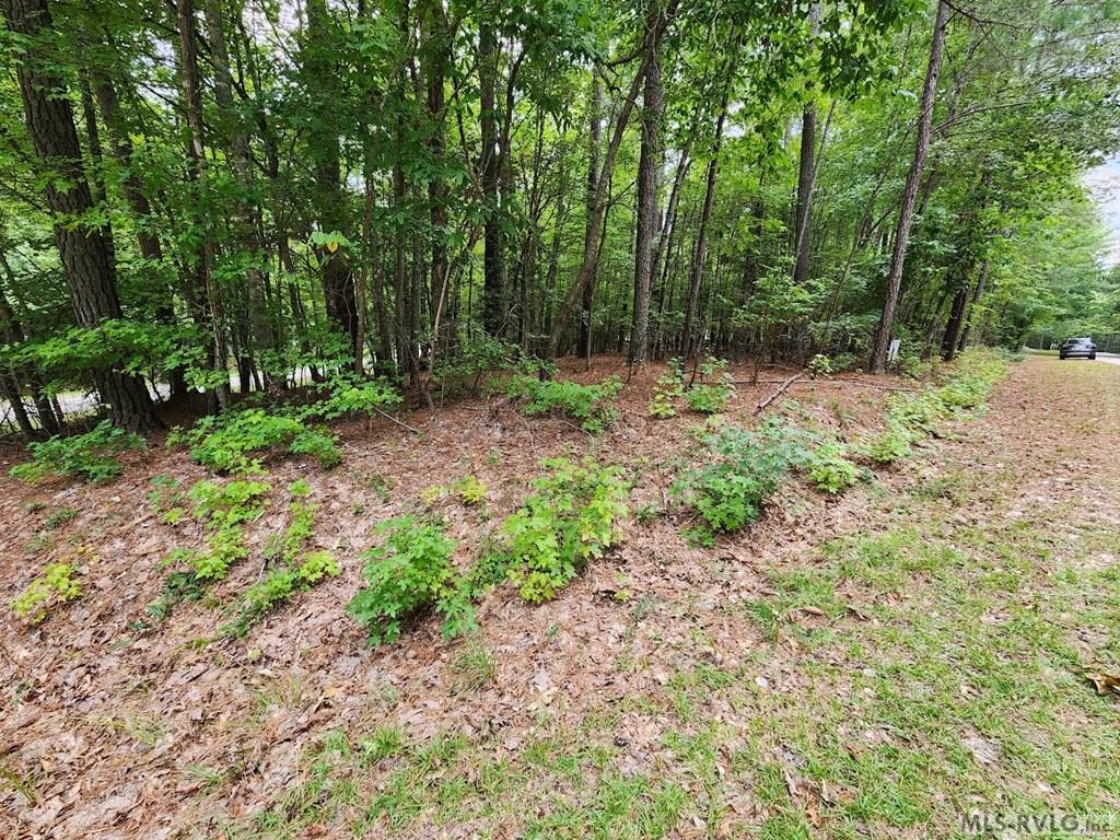 0 Hunters Creek Road Property Photo 4