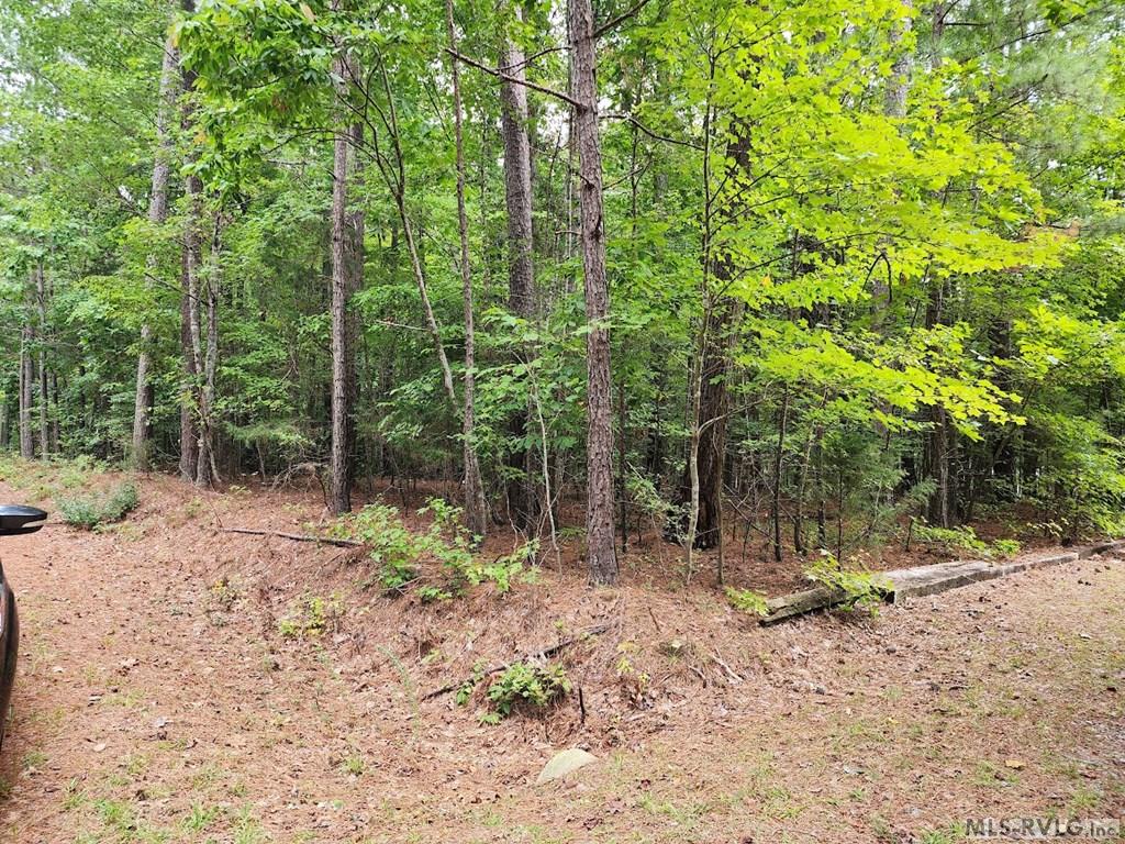 0 Hunters Creek Road Property Photo 5