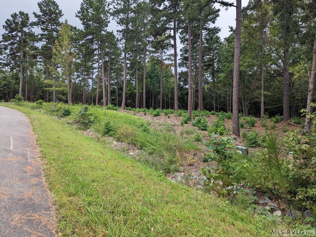 Lot 19 Grace Stone Drive Property Photo 5