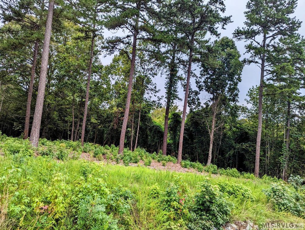 Lot 19 Grace Stone Drive Property Photo 6